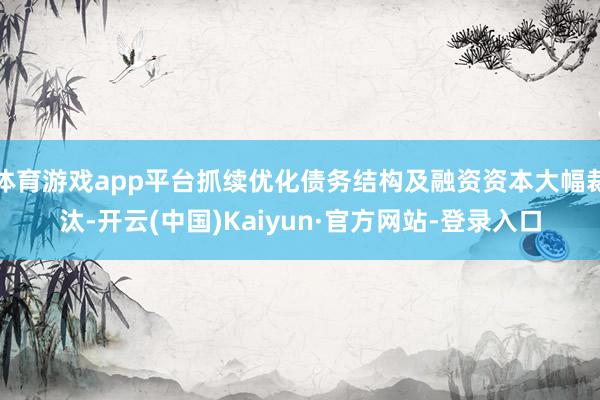 体育游戏app平台抓续优化债务结构及融资资本大幅裁汰-开云(中国)Kaiyun·官方网站-登录入口