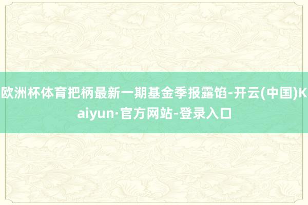 欧洲杯体育把柄最新一期基金季报露馅-开云(中国)Kaiyun·官方网站-登录入口