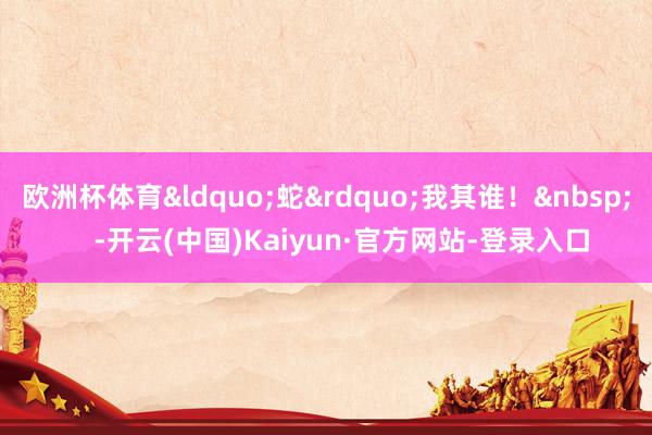 欧洲杯体育“蛇”我其谁! -开云(中国)Kaiyun·官方网站-登录入口