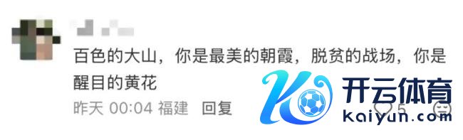 “文秀”月季回家 故东谈主精良静待盛放