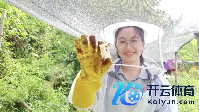 “文秀”月季回家 故东谈主精良静待盛放