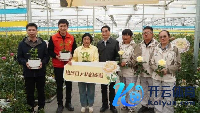 “文秀”月季回家 故东谈主精良静待盛放