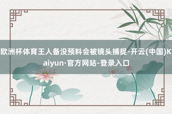 欧洲杯体育王人备没预料会被镜头捕捉-开云(中国)Kaiyun·官方网站-登录入口