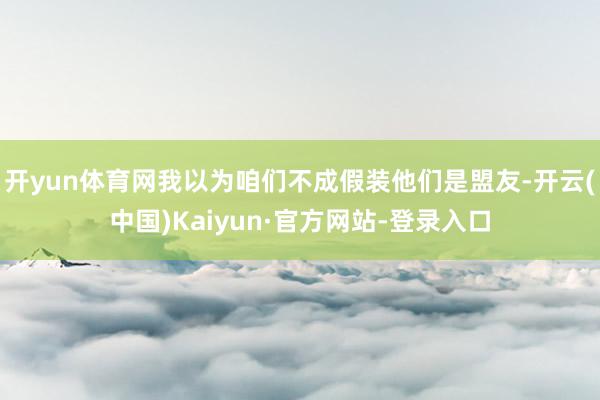 开yun体育网我以为咱们不成假装他们是盟友-开云(中国)Kaiyun·官方网站-登录入口